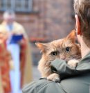 Obrzęd błogosławieństwa zwierząt domowych, ŚW. FRANCISZEK – BŁOGOSŁAWIEŃSTWO ZWIERZĄT